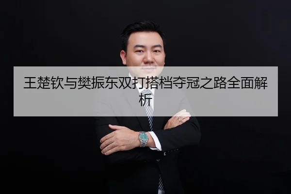 王楚钦与樊振东双打搭档夺冠之路全面解析